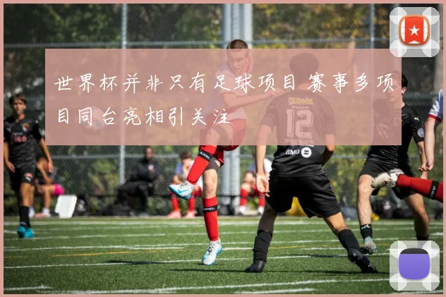 世界杯并非只有足球项目 赛事多项目同台亮相引关注